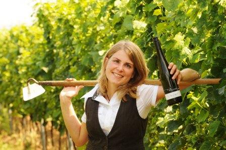 Bild Weingut Eva Vollmer Mainz Ebersheim