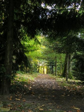 Bild Forstgarten Jägerhof Greifswald