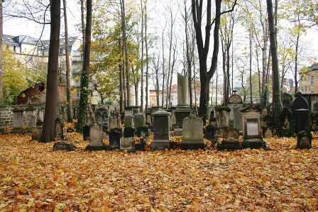 Bild Alter Jüdischer Friedhof Dresden