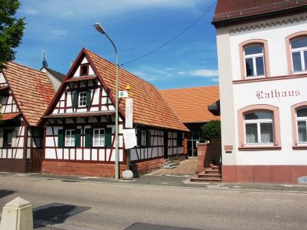 Bild Rheinaue Museum Neuburg