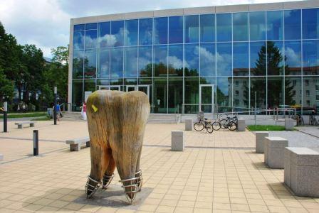 Bild Zentrum für Zahn-, Mund- und Kieferheilkunde der Ernst-Moritz-Arndt-Universität in Greifswald