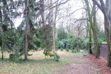 Bild Jüdischer Friedhof am Melatengürtel Köln