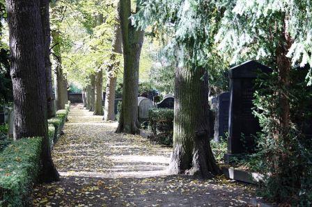 Bild Jüdischer Friedhof Bonn