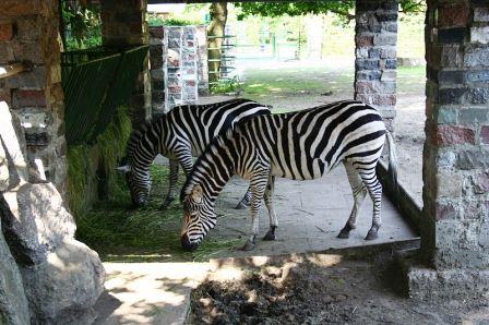 Bild Tierpark Hamm