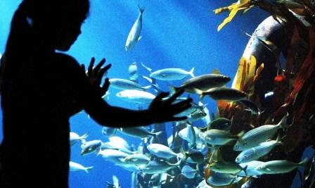 Bild Sea Life Oberhausen