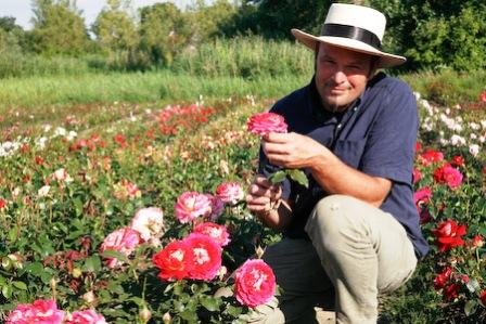 Bild Vierländer Rosenhof