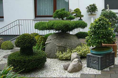 Bild Bonsai Zentrum Lippe Lüdge