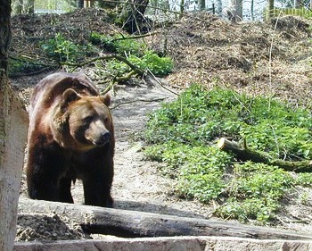 Bild Nadermanns Tierpark Delbrück