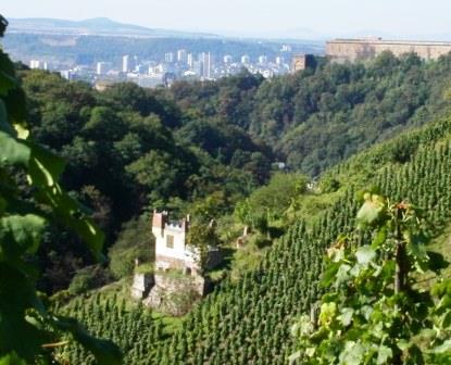 Bild Weingut Göhlen Koblenz