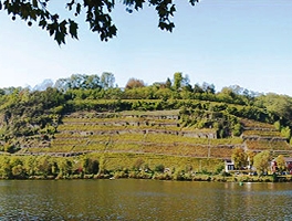 Bild Weingut Müller Koblenz