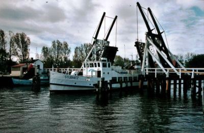 Bild Boddenrundfahrt Greifswald