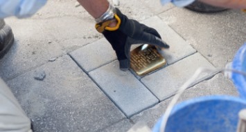 Bild Stolpersteine Mannheim