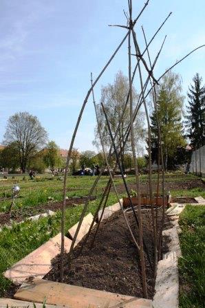 Bild Interkultureller Garten Augsburg