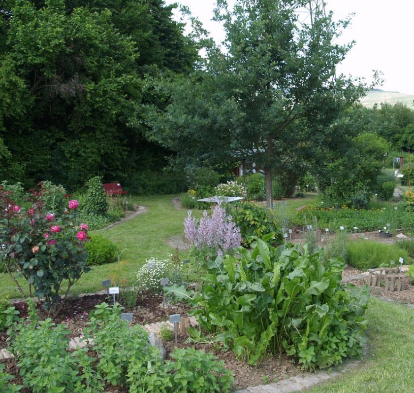 Bild Sanitas Kräutergarten und Garten der Sinne Weinstadt