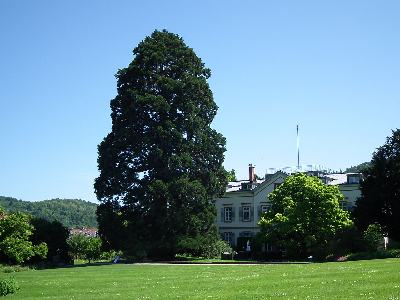 Bild Schau und Sichtungsgarten Hermannshof Weinheim