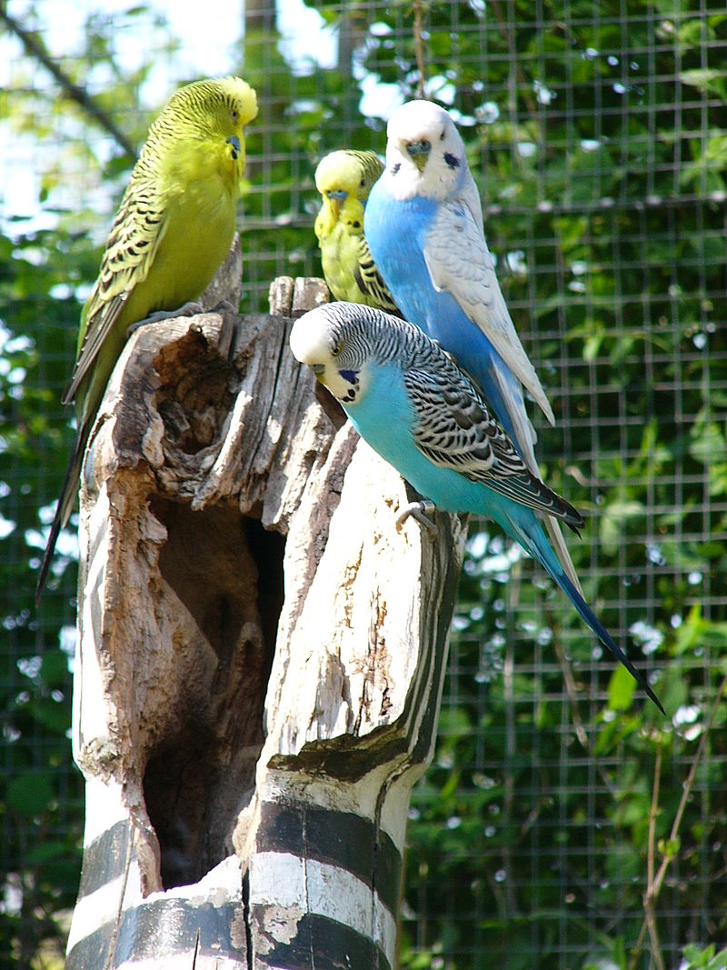 Bild Zoologischer Garten Hof