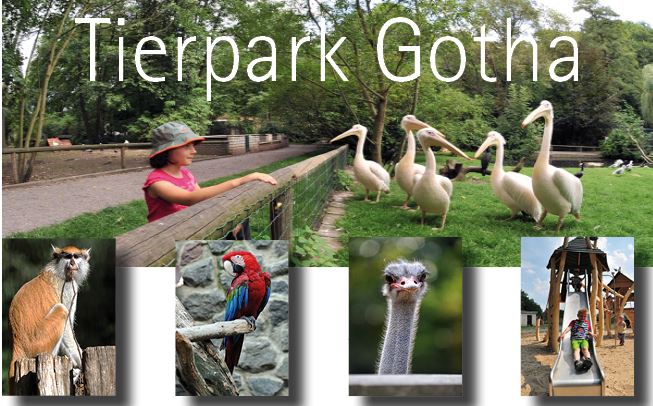 Bild Tierpark Gotha